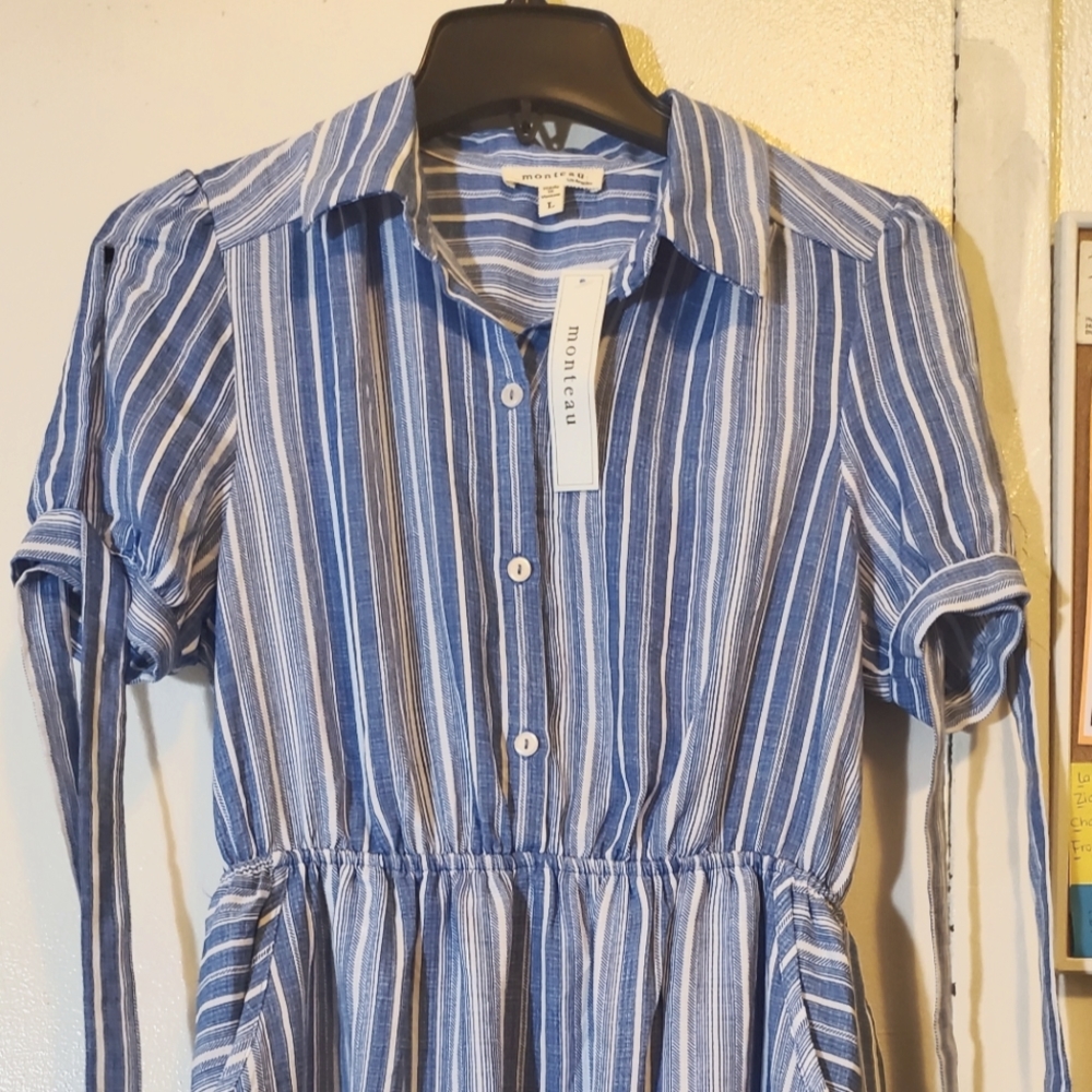 Stripe Dress Button Up Blue and White (Large)